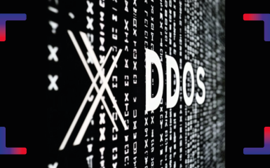 DDoS X TS-Way cover