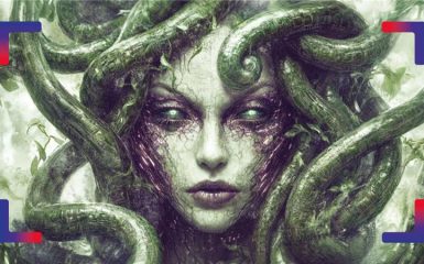 Medusa Team TS-Way cover